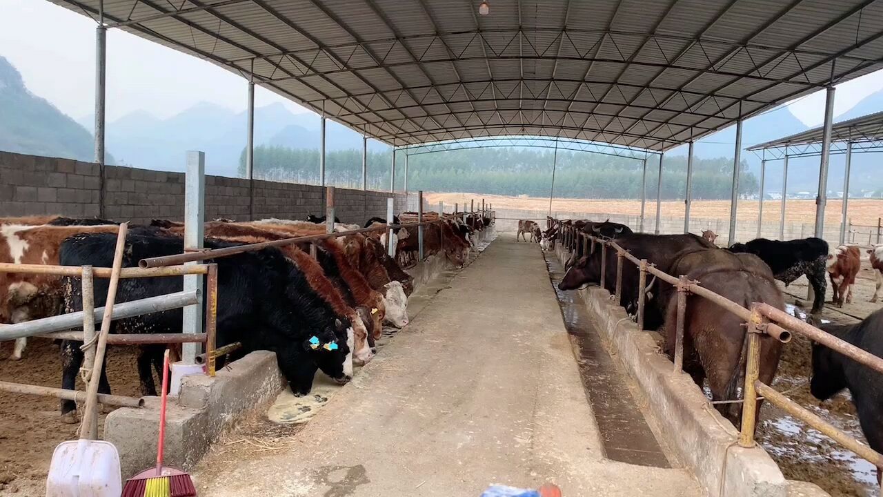 QQ图片20230318114347.jpg QQ图片20230318114347.jpg