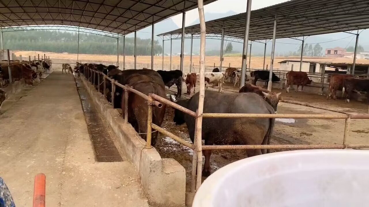 QQ图片20230318114418.jpg QQ图片20230318114418.jpg