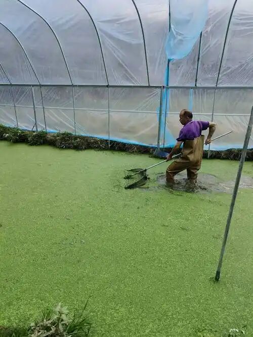 84fbb501b2083ea99d82064036b2d52f.jpg 84fbb501b2083ea99d82064036b2d52f.jpg