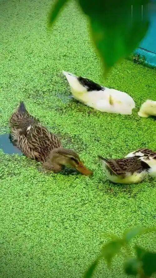 a0299fbd68ea64b2584dcd521e02624d_720.jpg a0299fbd68ea64b2584dcd521e02624d_720.jpg