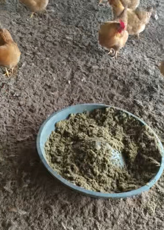 E789DACBA12A03440B69C37F48FF3F55.png E789DACBA12A03440B69C37F48FF3F55.png