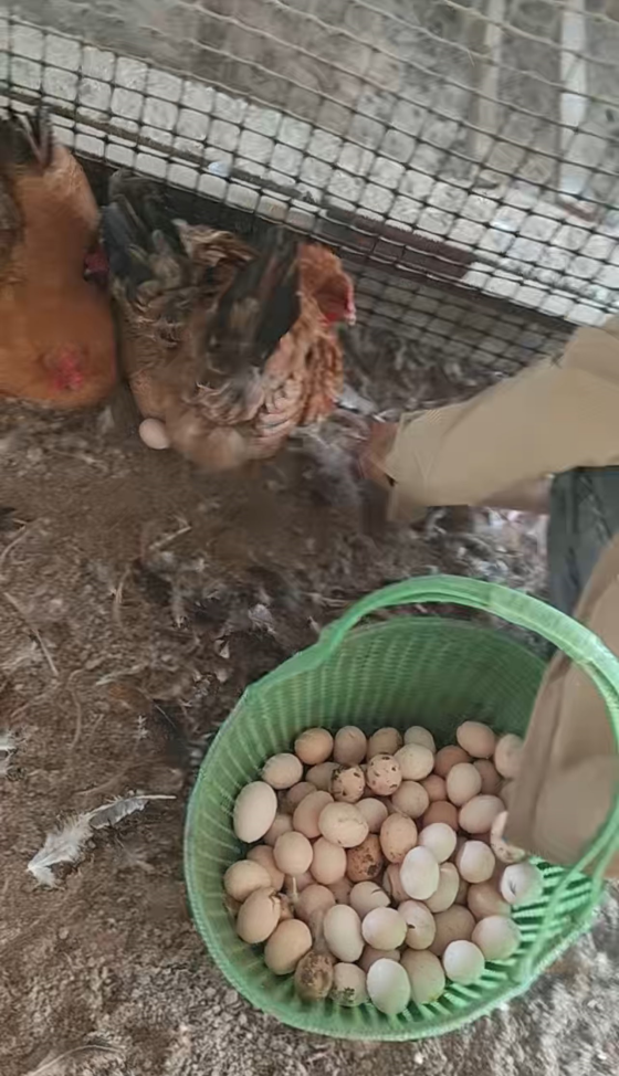 9DEB90B783B132E19D9FBF755CDC17DB.png 9DEB90B783B132E19D9FBF755CDC17DB.png