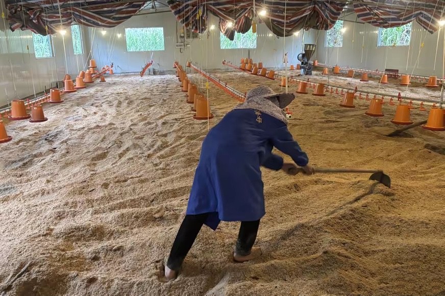 17358743542508527.jpg 17358743542508527.jpg