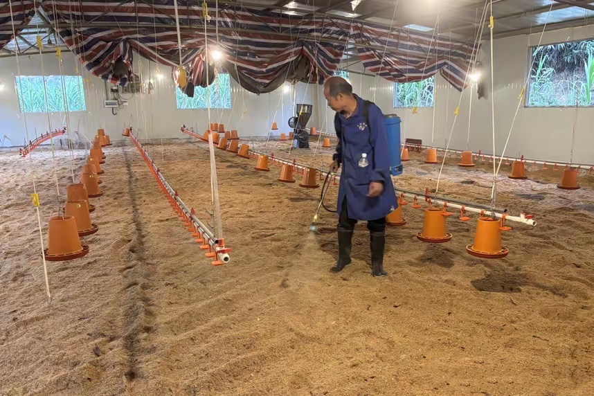 17358743951065885.jpg 17358743951065885.jpg