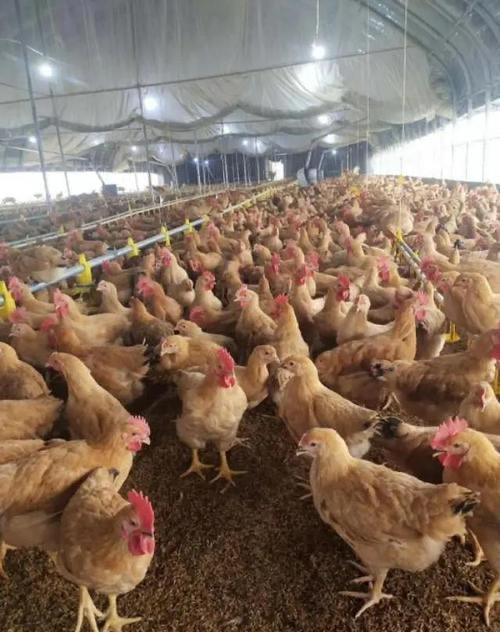 微信图片_20260318103924.jpg 微信图片_20260318103924.jpg