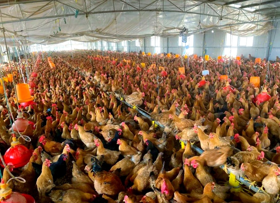 微信截图_20260318103948.jpg 微信截图_20260318103948.jpg