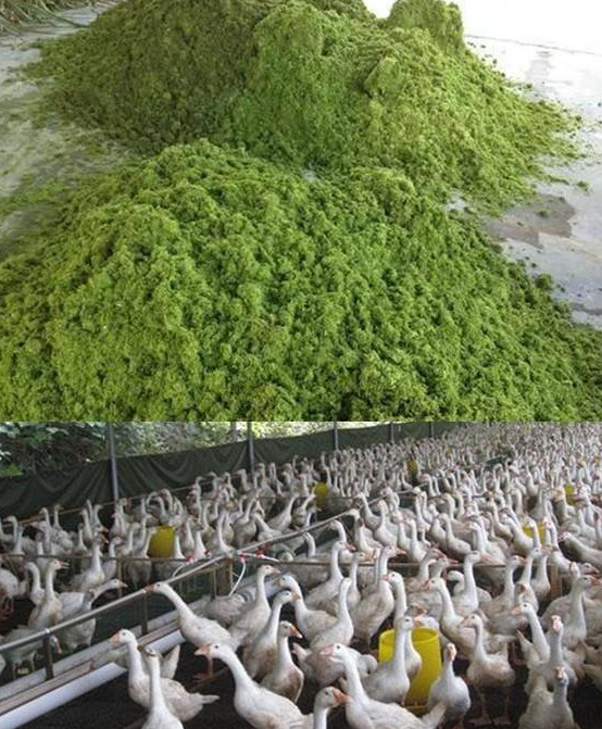 QQ图片20230303123508.png QQ图片20230303123508.png