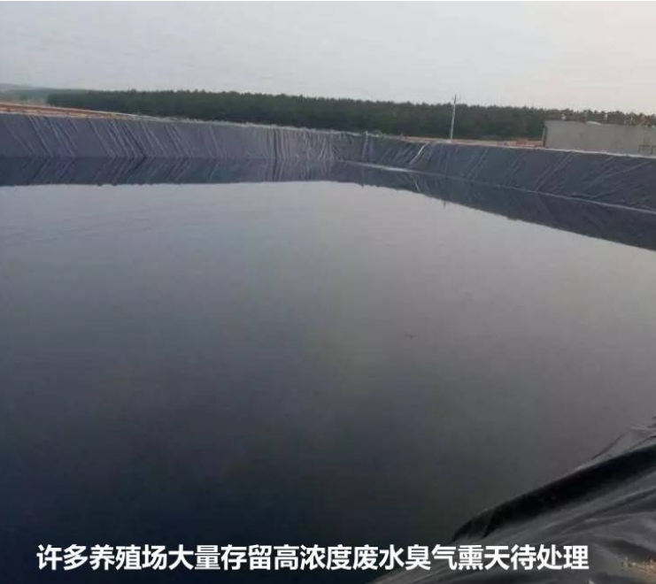 17338877913772367.jpg 17338877913772367.jpg