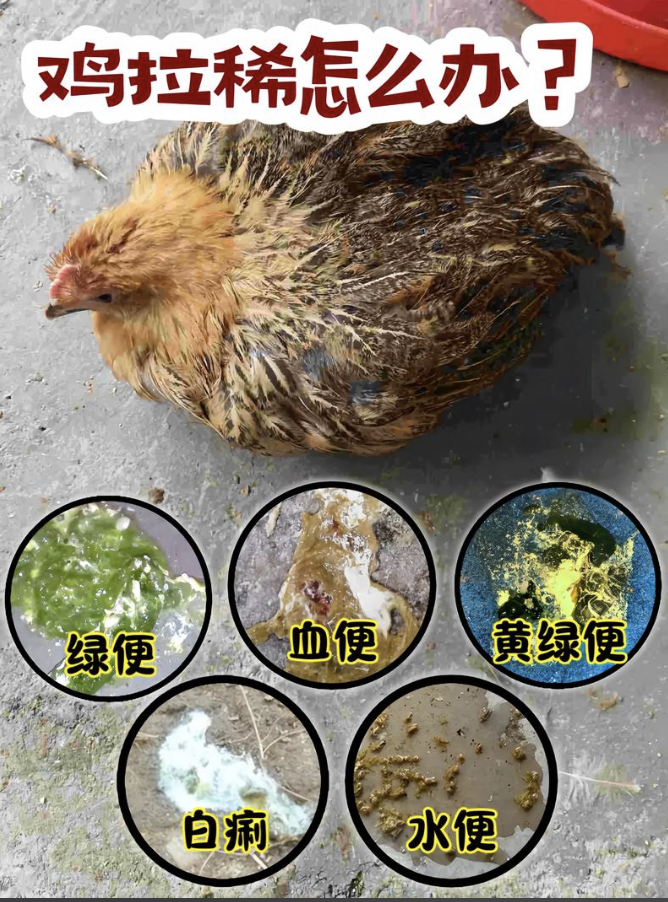 截屏2026-03-23 08.58.54.png 截屏2026-03-23 08.58.54.png