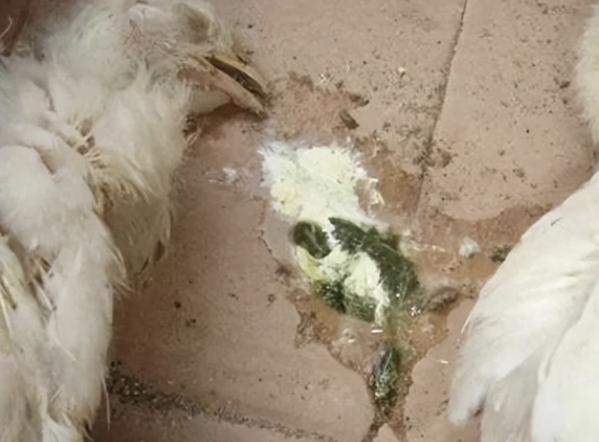 截屏2026-03-23 08.57.45.png 截屏2026-03-23 08.57.45.png