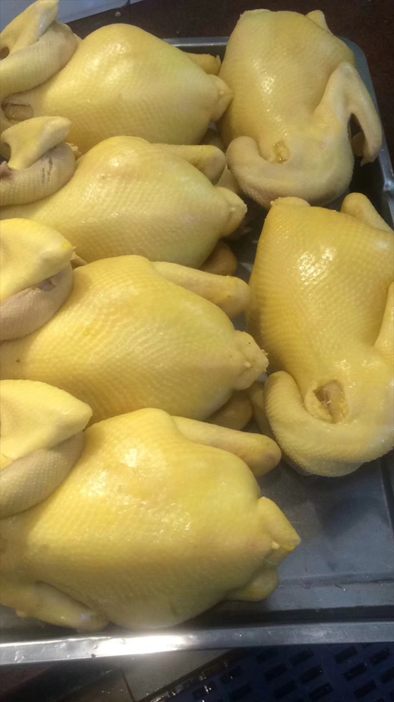 1ca0e24b48fb6a88ef6ac622c30062bb_1703810821411642.png 1ca0e24b48fb6a88ef6ac622c30062bb_1703810821411642.png