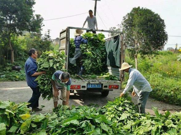 1650592034444948.jpg 1650592034444948.jpg