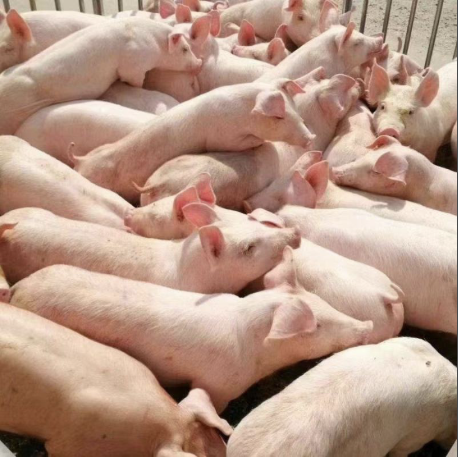 截屏2026-03-24 14.41.42.png