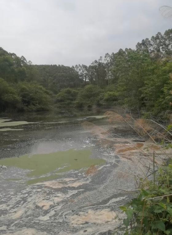 CC5E1FB9B14A42163669FC358A00ABC2.png CC5E1FB9B14A42163669FC358A00ABC2.png