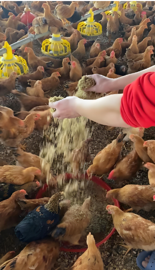 e9db8fe1-42af-419f-8b65-c0a9a1256545.png e9db8fe1-42af-419f-8b65-c0a9a1256545.png