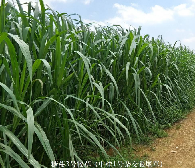 截图20260321094608.png 截图20260321094608.png