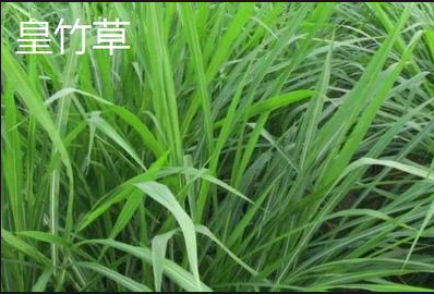 截图20260321094737.png 截图20260321094737.png