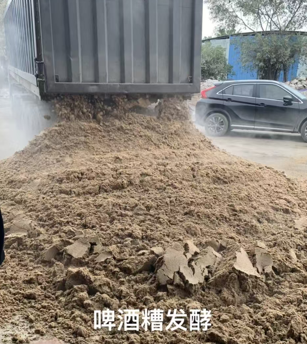 截屏2026-03-27 10.47.56.png 截屏2026-03-27 10.47.56.png