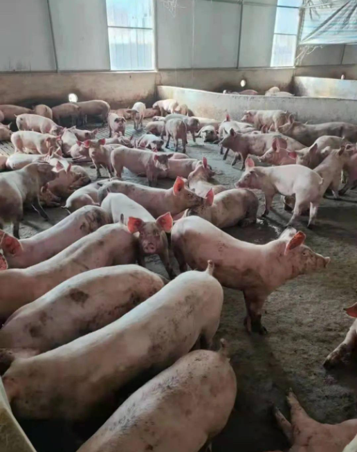 截图20260327104312.png 截图20260327104312.png