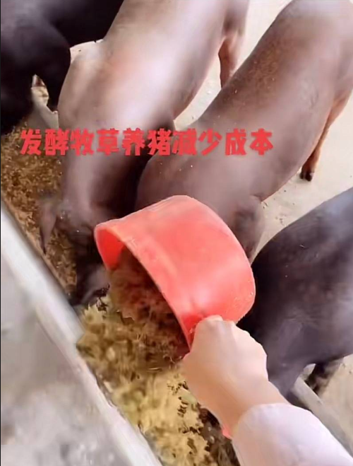 截图20260327104812.png 截图20260327104812.png