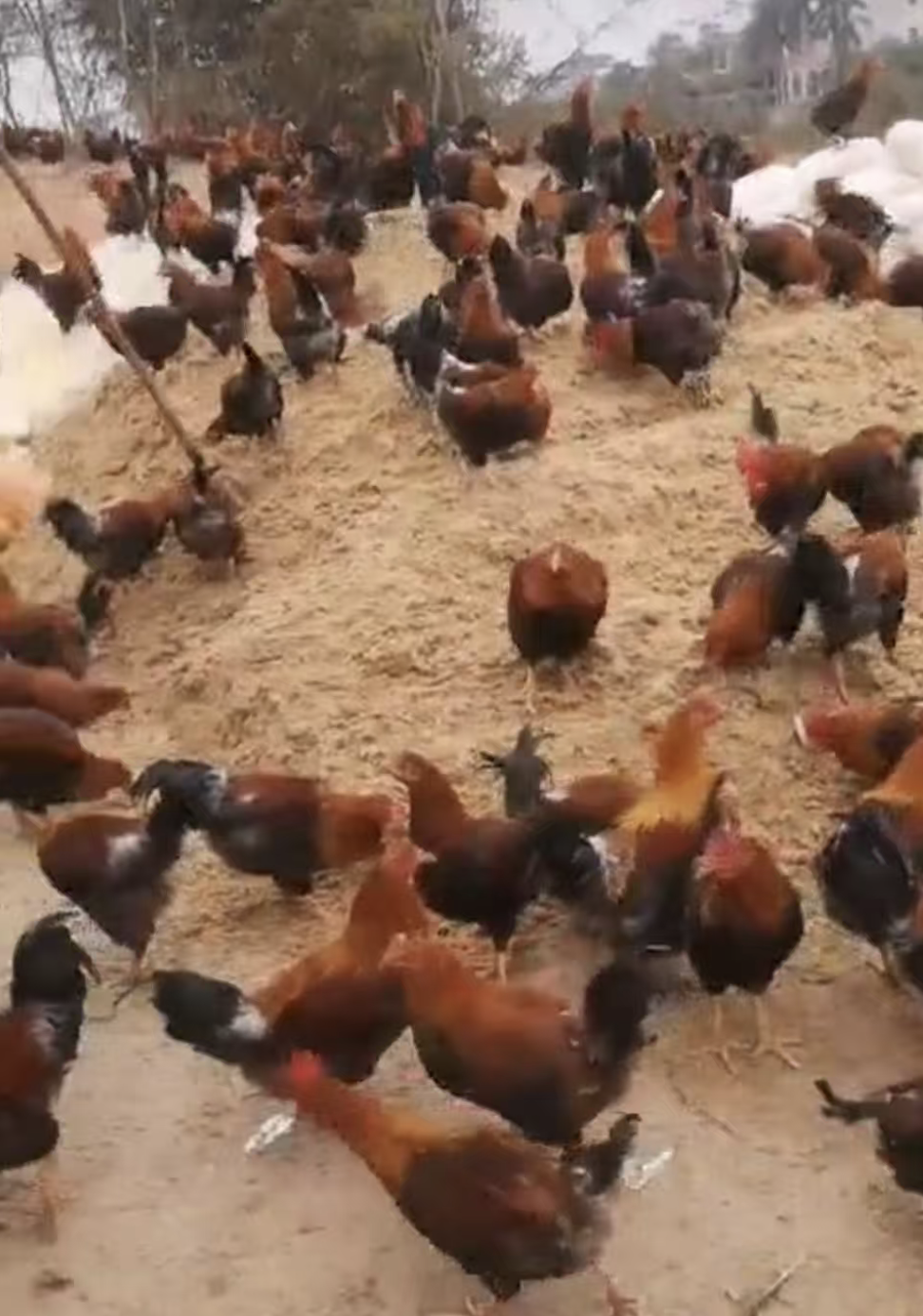 截屏2026-03-27 10.55.12.png 截屏2026-03-27 10.55.12.png