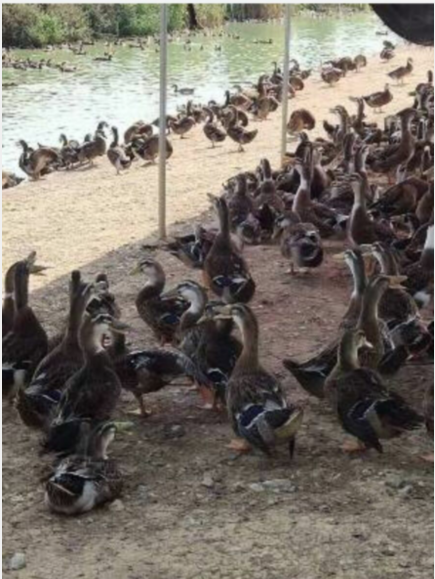 QQ图片20220923095340.png QQ图片20220923095340.png