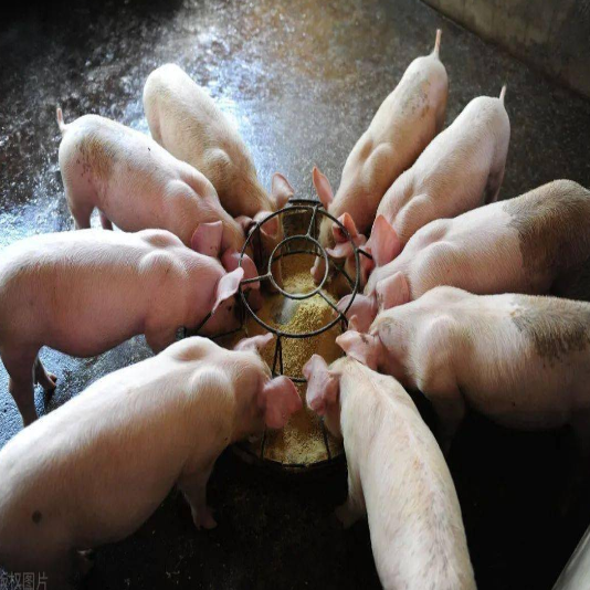 QQ_1774619158849.png QQ_1774619158849.png