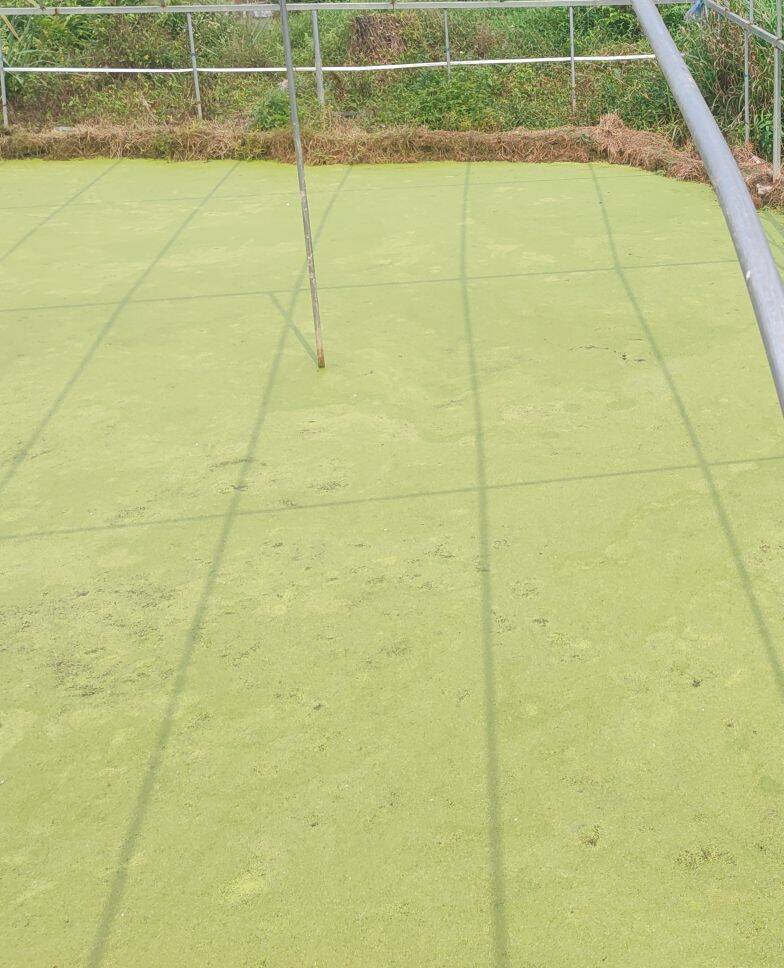 c8962d606a4fbf8da3070e9fda297364_720.jpg c8962d606a4fbf8da3070e9fda297364_720.jpg