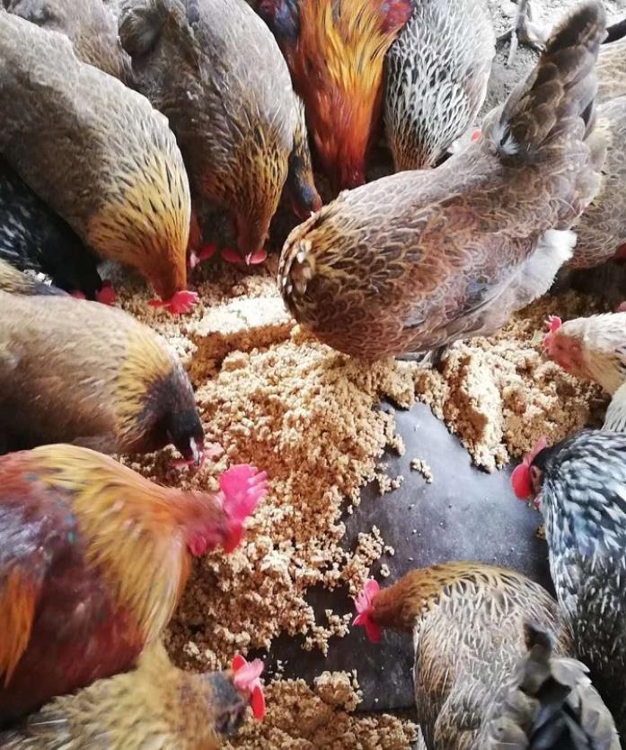 1713408520706366.jpg 1713408520706366.jpg