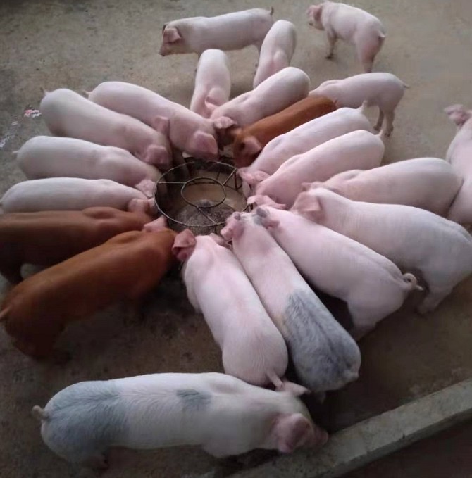 1713408520135365.jpg 1713408520135365.jpg