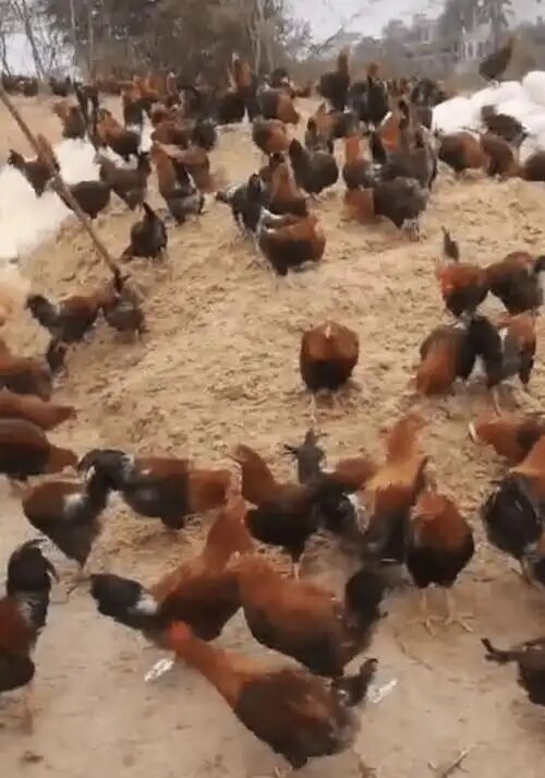 2735e0601a38635c593dc4c34685dfd5.jpg 2735e0601a38635c593dc4c34685dfd5.jpg