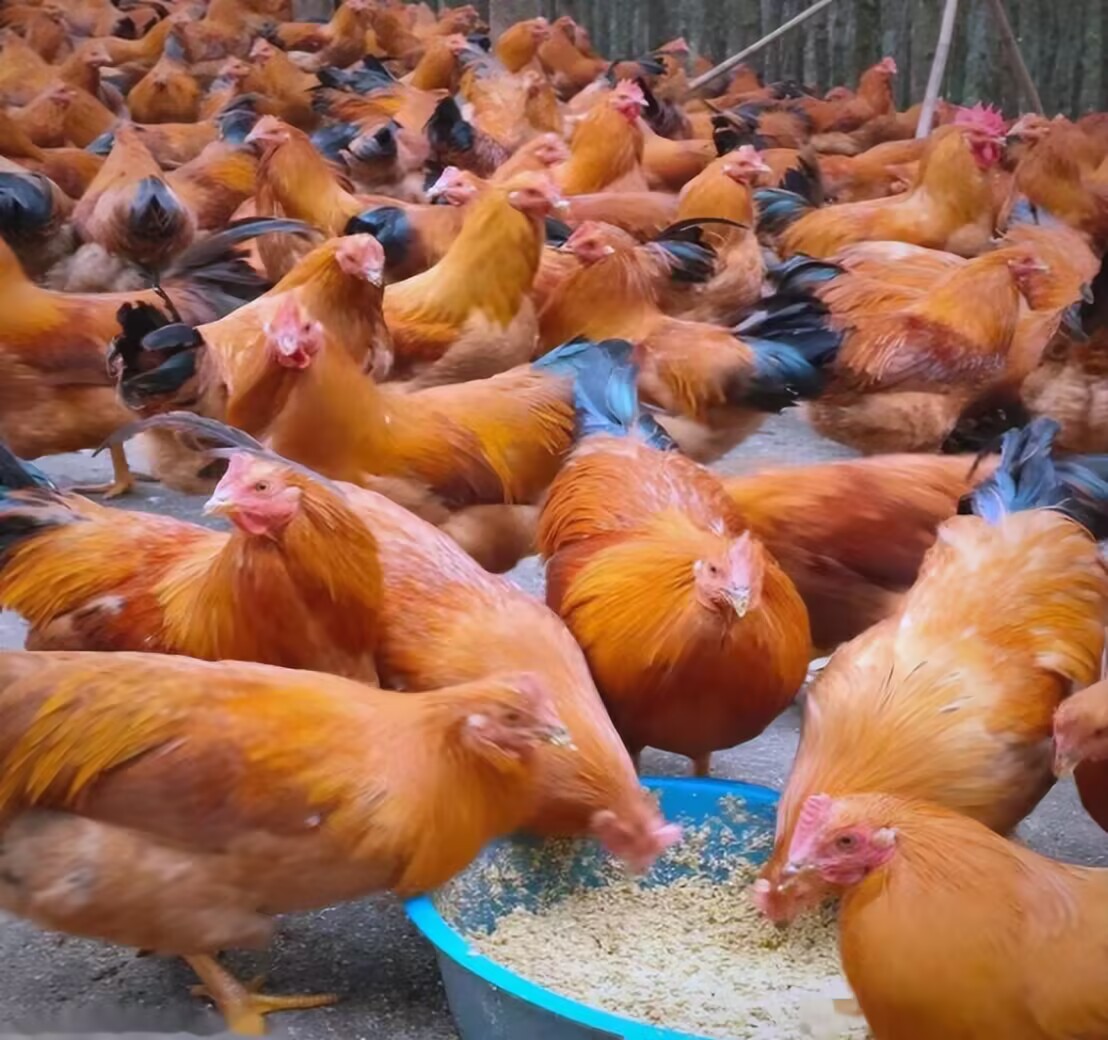 3667841365444985cae5c1ce5a11690e_720.jpg 3667841365444985cae5c1ce5a11690e_720.jpg