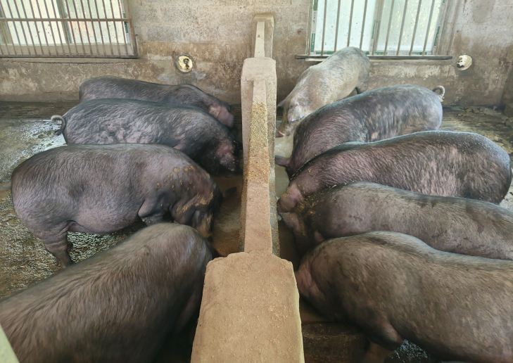 QQ图片20260313152738.png QQ图片20260313152738.png