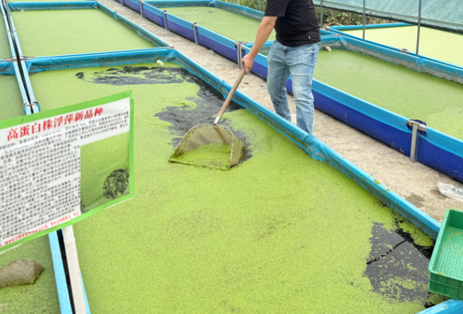 5436818d1ebe177b05b323ec89c9a5f6_17739340968733381.png 5436818d1ebe177b05b323ec89c9a5f6_17739340968733381.png