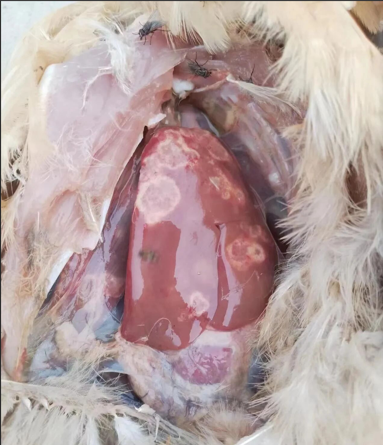 f1cc4c2c-5ff4-4319-b5c2-827e04e4c7bb.png f1cc4c2c-5ff4-4319-b5c2-827e04e4c7bb.png