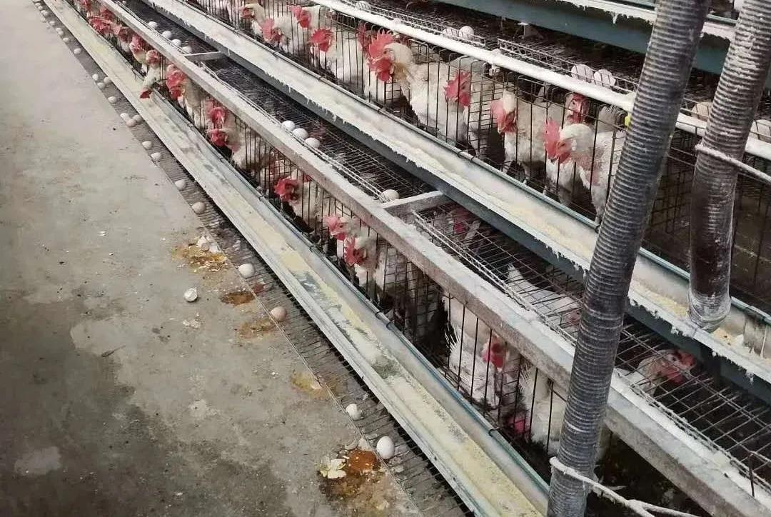 QQ图片20260407101335.png QQ图片20260407101335.png