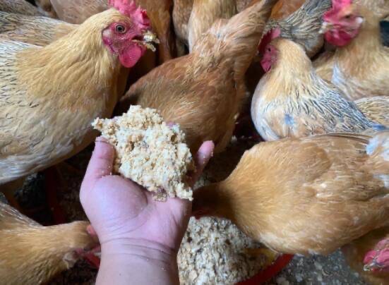 微信图片_20260407104102.jpg 微信图片_20260407104102.jpg