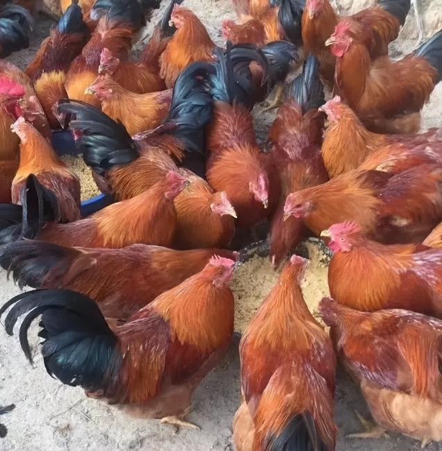 微信图片_20260407104128.jpg 微信图片_20260407104128.jpg