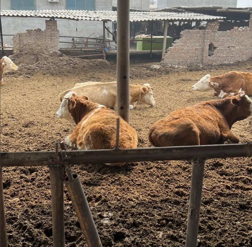 截图20260407153216.png 截图20260407153216.png