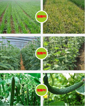 截图20260407153333.png 截图20260407153333.png