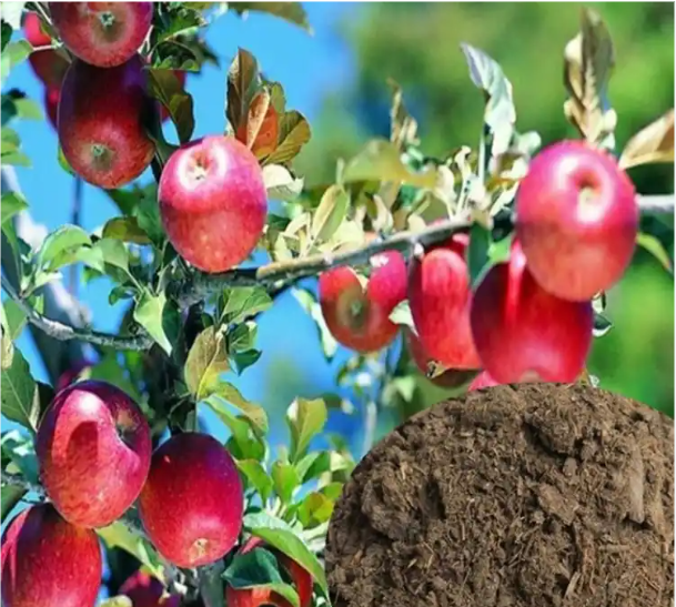 截图20260407153441.png 截图20260407153441.png