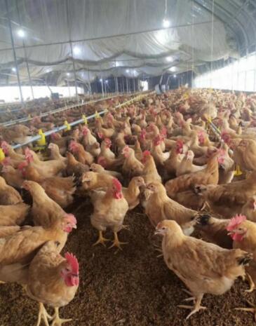 QQ图片20250326110852.jpg QQ图片20250326110852.jpg