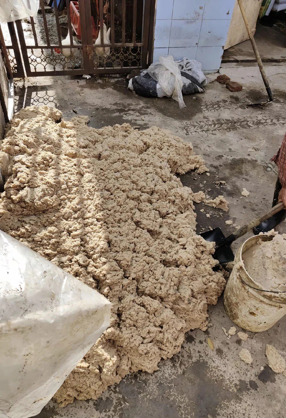 QQ图片20260408135352.jpg QQ图片20260408135352.jpg