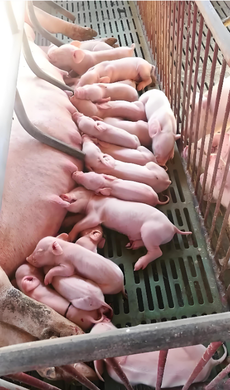 e8f3ba6c-87ab-4e01-88d6-9a1dbacf00cc.png e8f3ba6c-87ab-4e01-88d6-9a1dbacf00cc.png