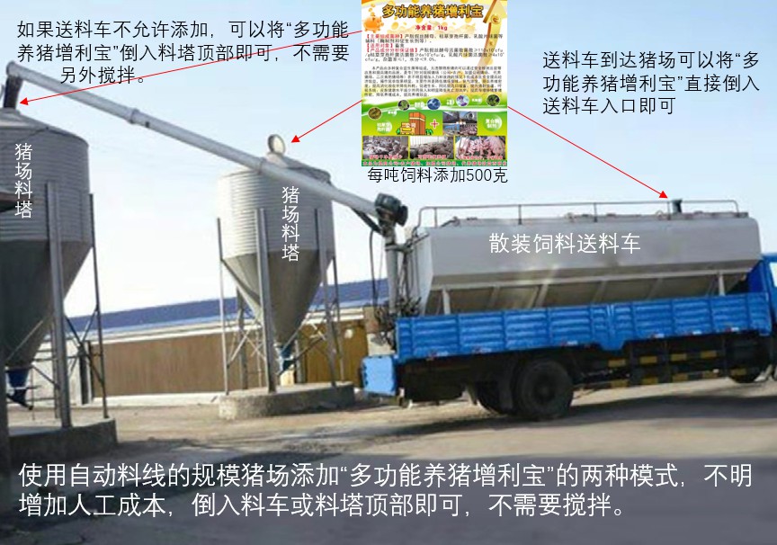 17415893433998411.jpg 17415893433998411.jpg