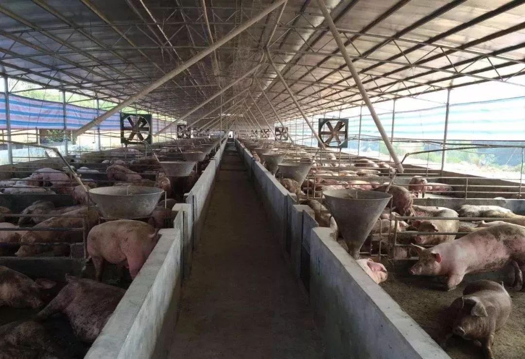 17415893438071180.jpg 17415893438071180.jpg