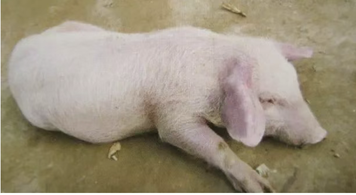 截屏2026-04-09 15.27.37.png