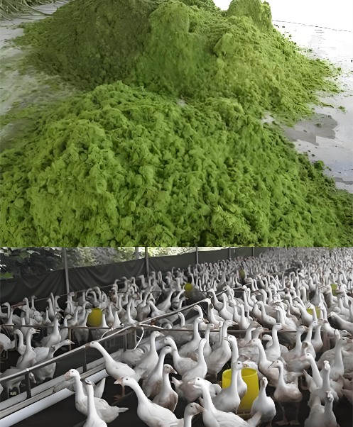 64f6a980-875a-47ef-9c28-842d4a816a78.png 64f6a980-875a-47ef-9c28-842d4a816a78.png