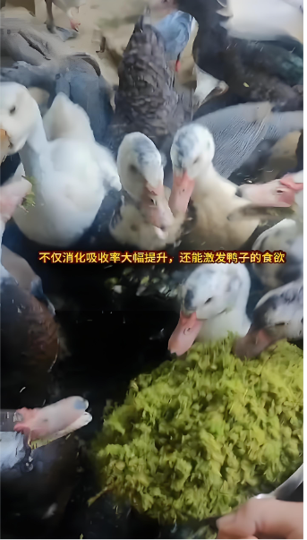 e0138ea1-52ba-4b97-b812-5f21f14eaa3a.png e0138ea1-52ba-4b97-b812-5f21f14eaa3a.png