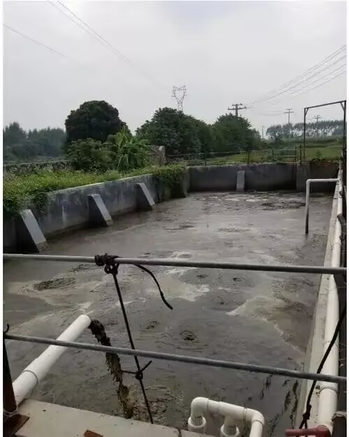 365269c25999f8fccbed102e9ac487b1.jpg 365269c25999f8fccbed102e9ac487b1.jpg